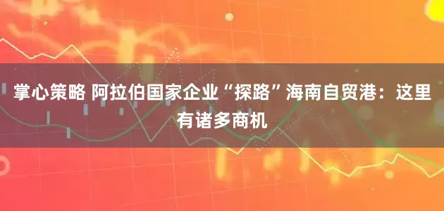 掌心策略 阿拉伯国家企业“探路”海南自贸港：这里有诸多商机