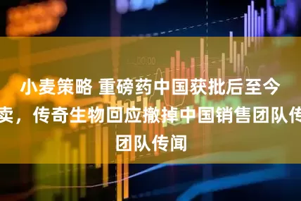 小麦策略 重磅药中国获批后至今未卖，传奇生物回应撤掉中国销售团队传闻