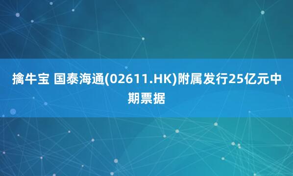 擒牛宝 国泰海通(02611.HK)附属发行25亿元中期票据