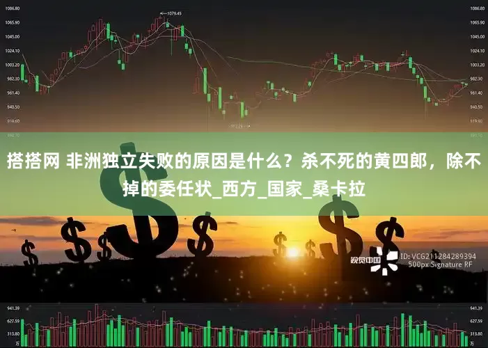 搭搭网 非洲独立失败的原因是什么？杀不死的黄四郎，除不掉的委任状_西方_国家_桑卡拉
