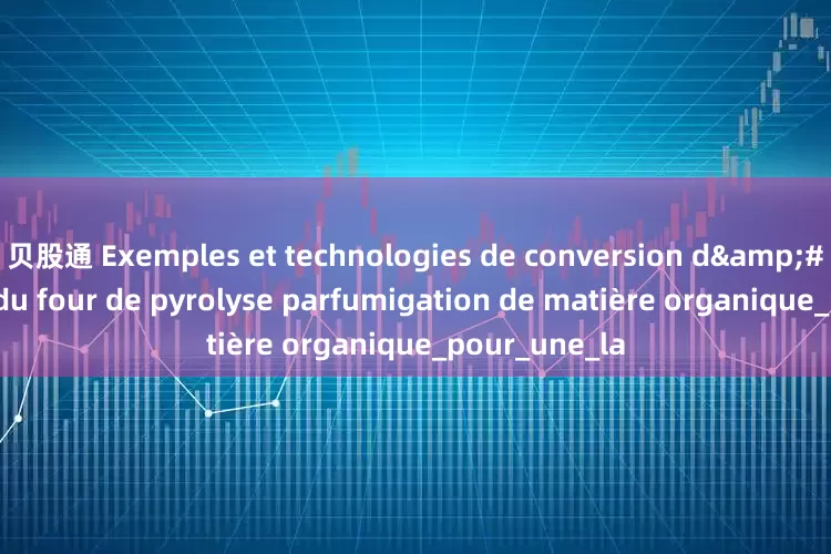 贝股通 Exemples et technologies de conversion d&#39;énergie du four de pyrolyse parfumigation de matière organique_pour_une_la